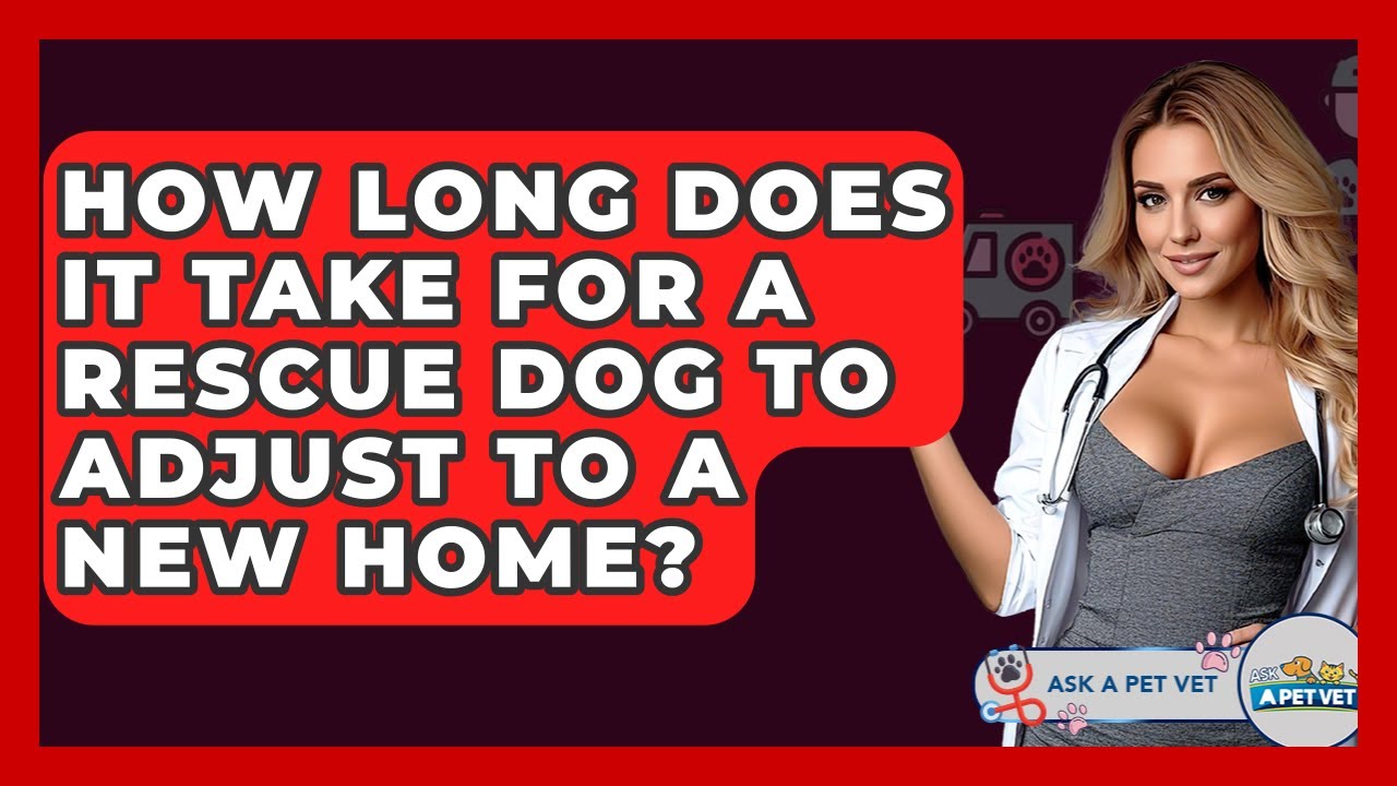 How Long Does It Take For A Rescue Dog To Adjust To A New Home? - Ask A Pet Vet