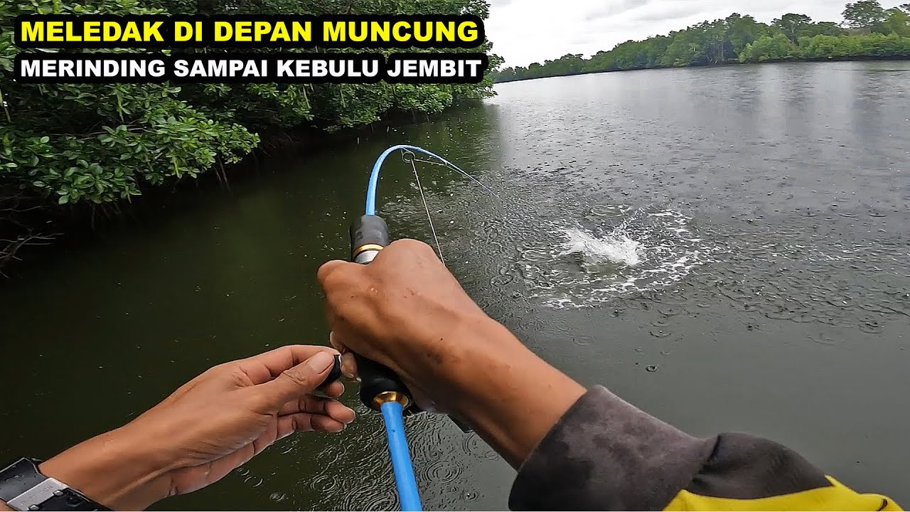 Mancing ikan kakap besar sak bantal bantal