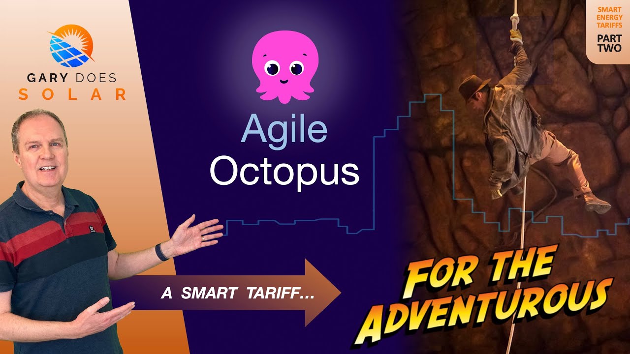 Agile Octopus - A Smart Tariff For The Adventurous!