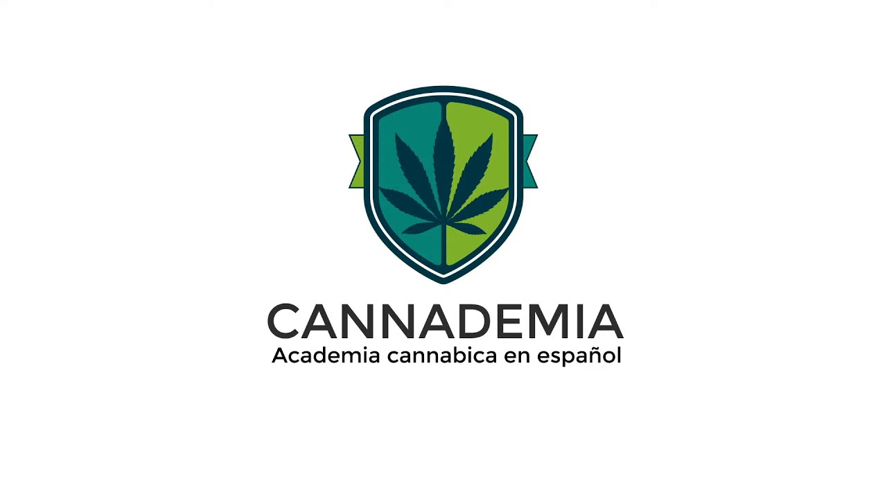 Cannademia Live Stream