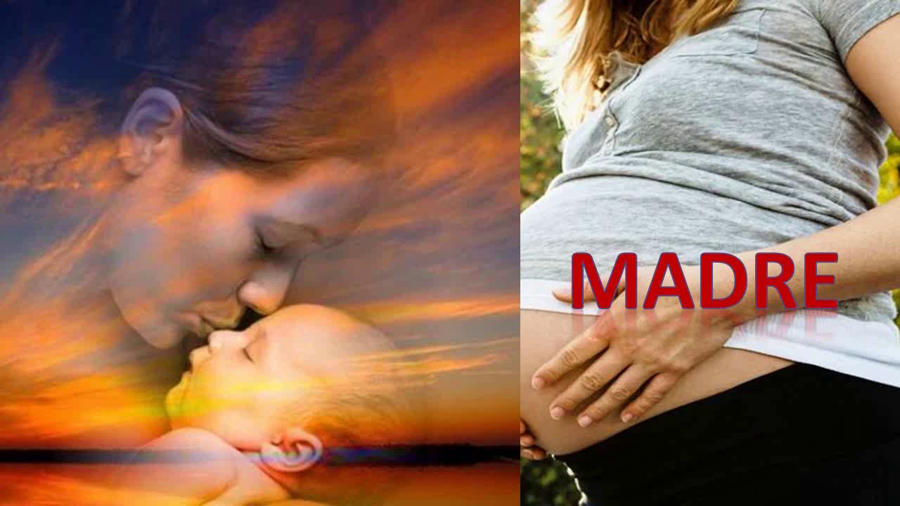 MADRE