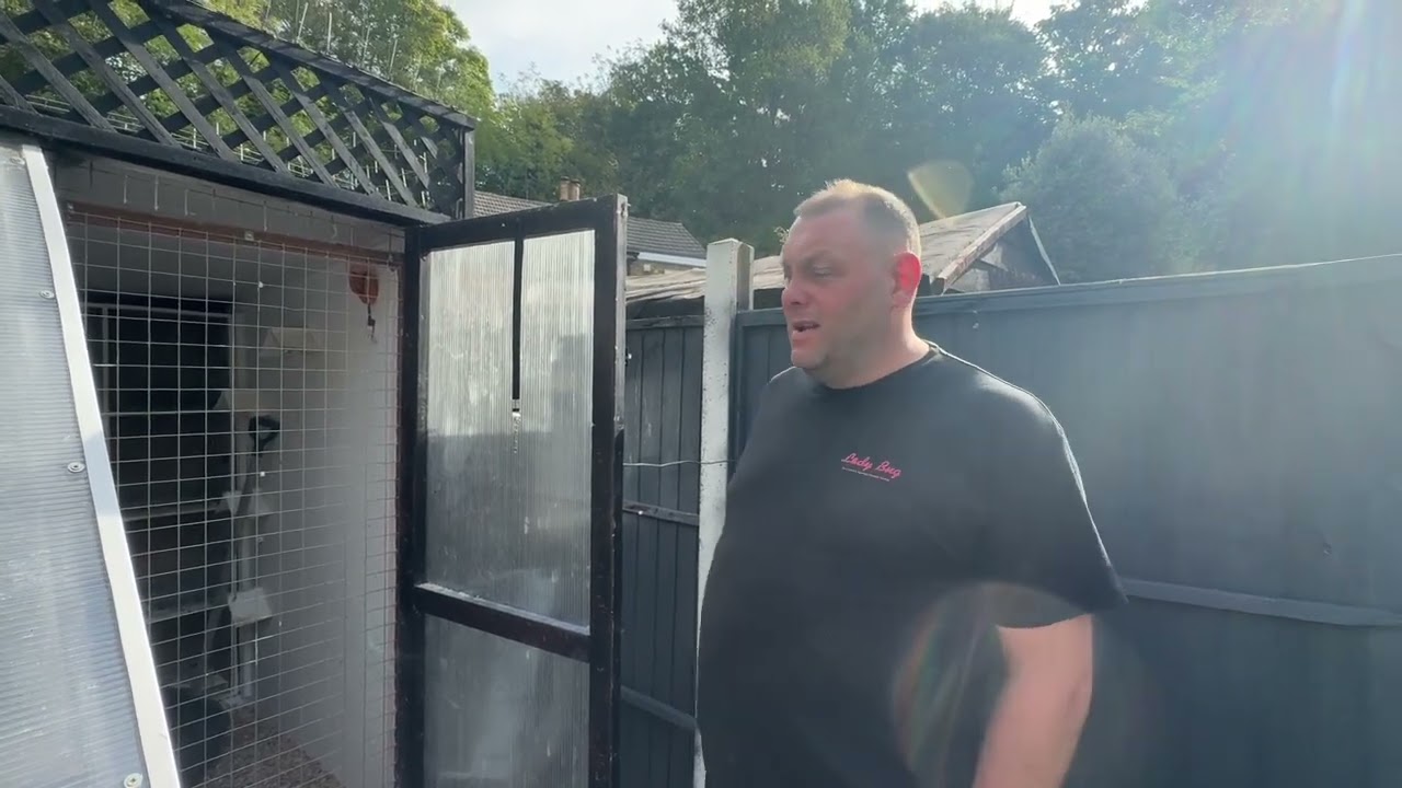 Отражая сезон 2025 года #голубиныегонки