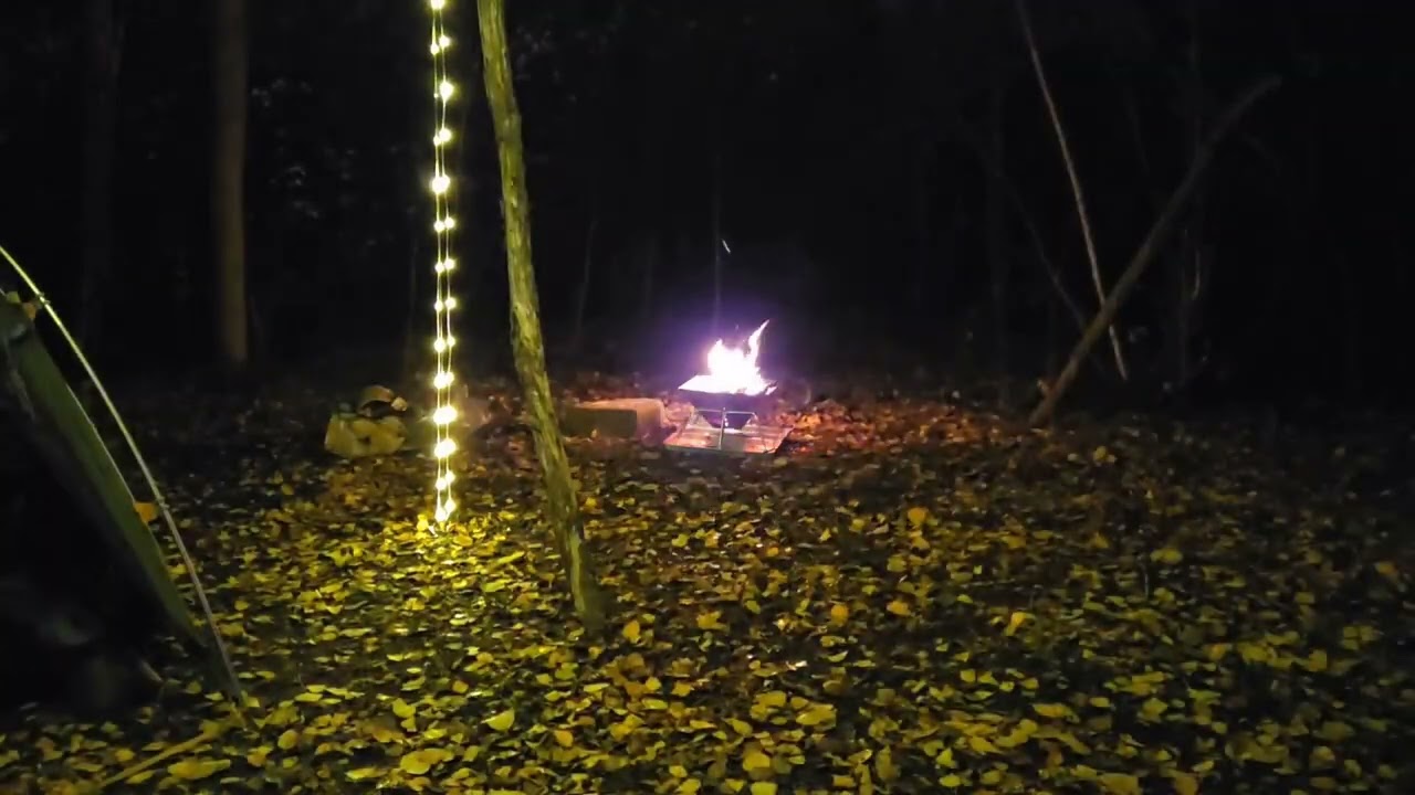 Wild camp bonfire night sticky ribs