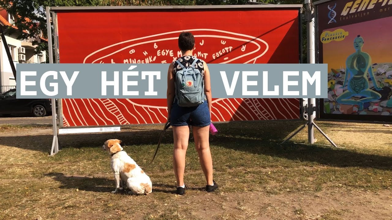NEHÉZ A ZERO WASTE? - EGY HÉT VELEM