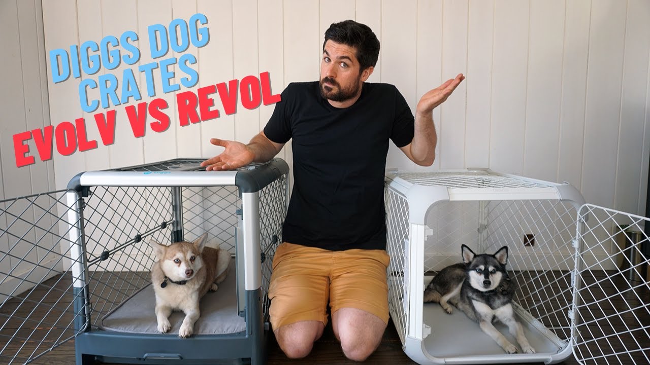 Diggs Evolv против Revol: ключевые различия и сходства | Наш вердикт
