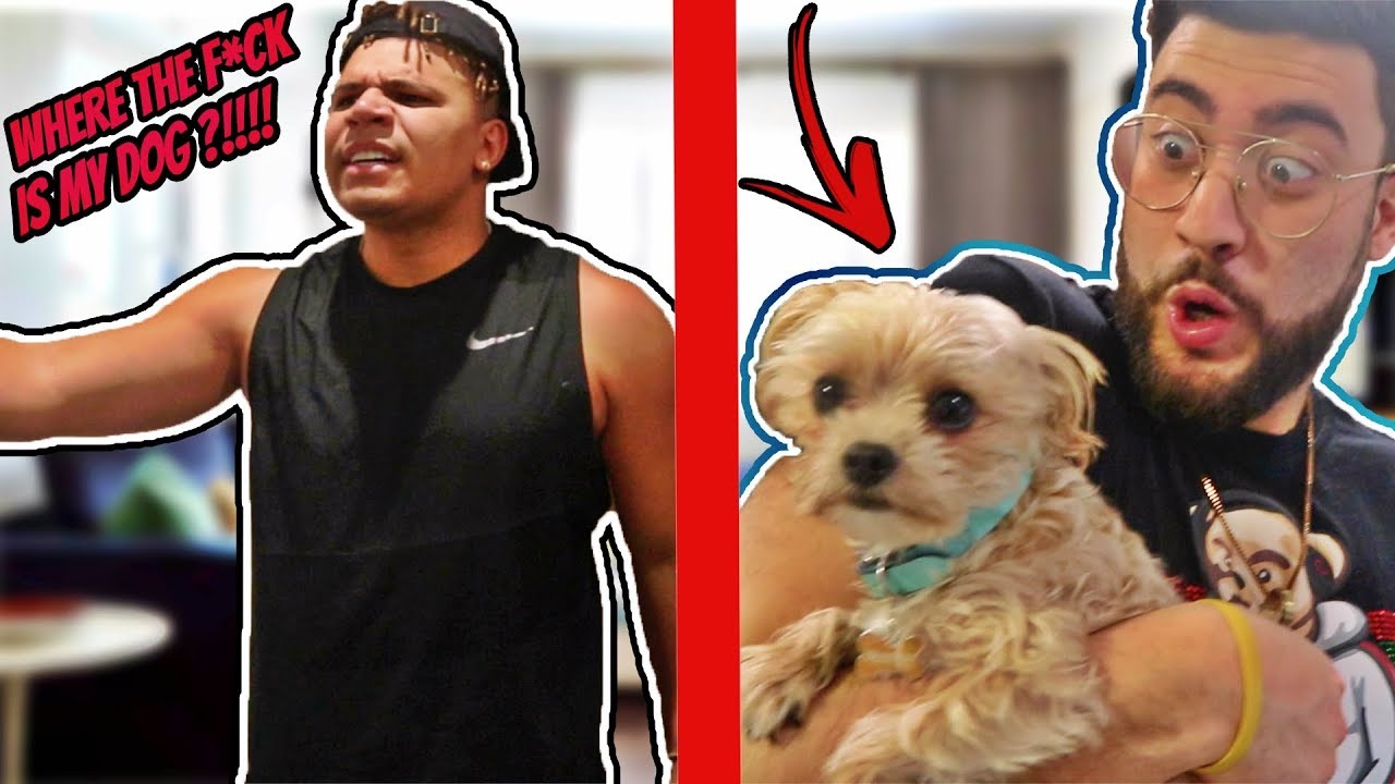 WE LOST WOLFIE'S DOG PRANK !!! (HE FREAKS OUT)