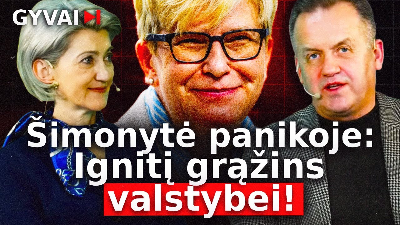 Konservatorių baimės anatomija: Ignitis, Kreivys ir milijonų schema