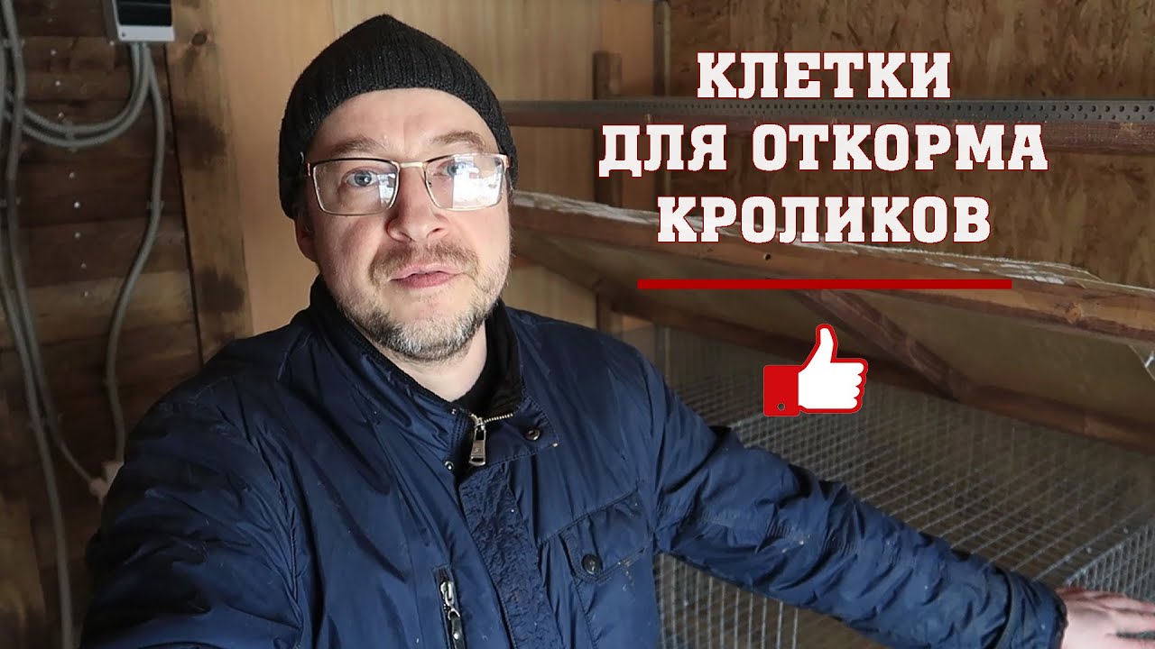 Клетки для откорма кроликов