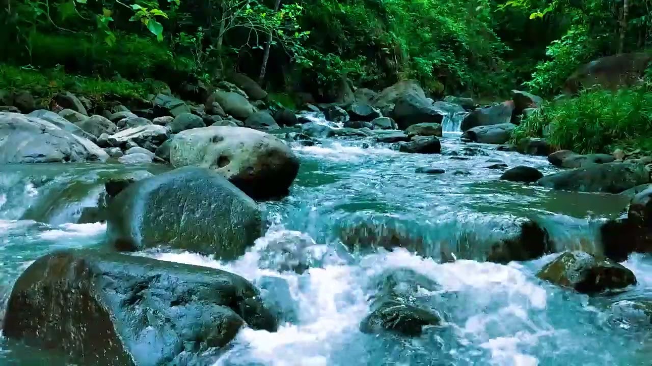 Magical Forest Atmosphere, Flowing Water, Forest Sounds, Soothing ASMR