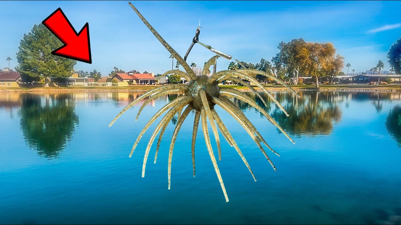 Does this WEIRD Bait REALLY Catch Fish?!