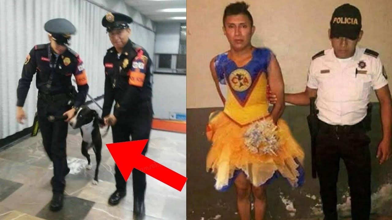 LA CIUDAD DE MÉXICO ES ESTÚPIDA...?
