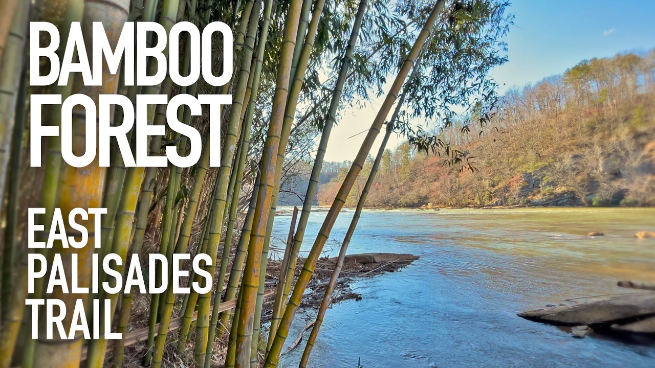 Walk with Mom - Chattahoochee River - Bamboo Forest Hike