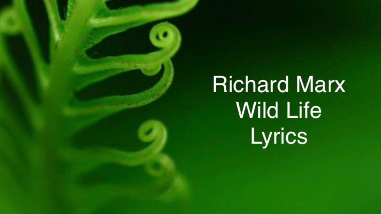 Richard Marx - Wild Life (Lyrics)