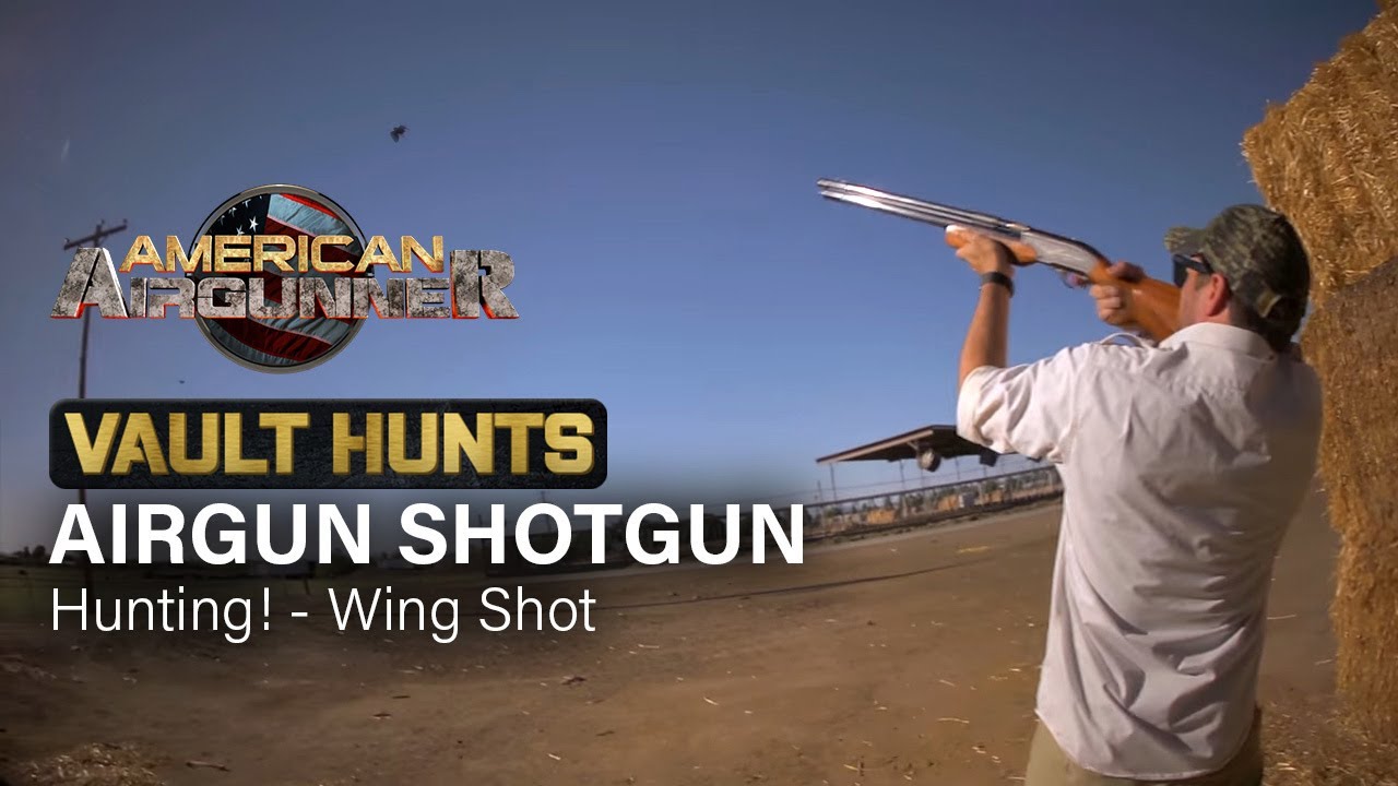 AIRGUN SHOTGUN Hunting - The Wing Shot