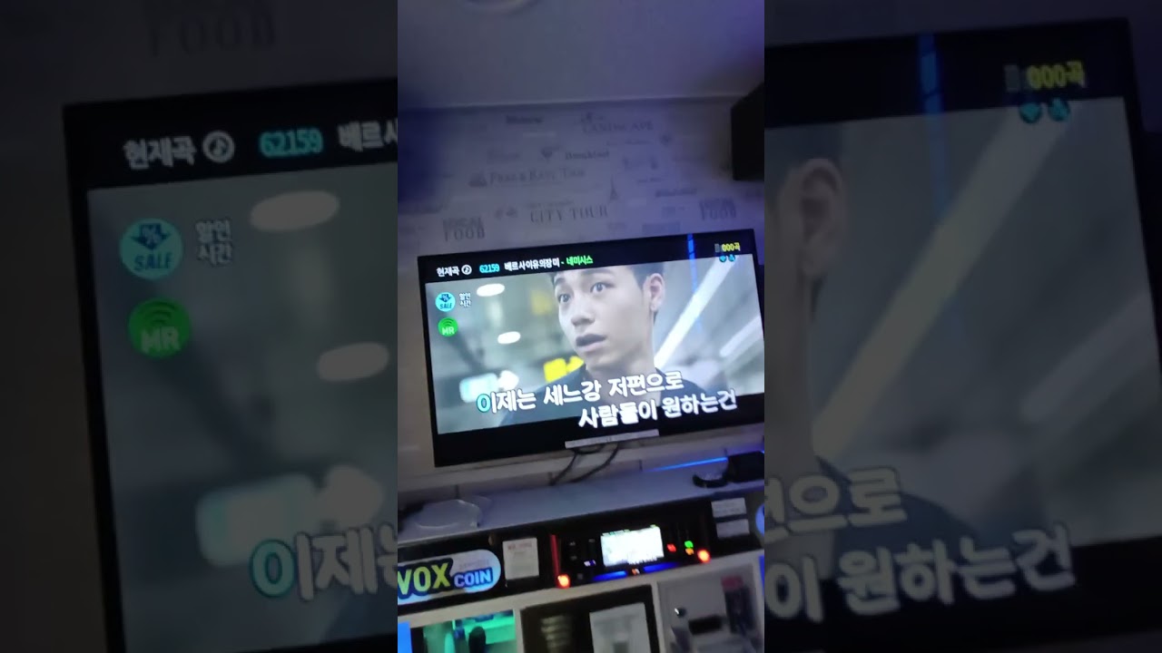 베르사이유의 장미-네미시스 일반인노래방커버