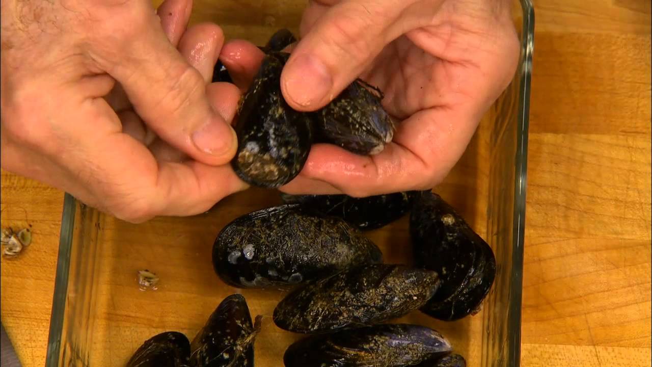 Jacques Pépin: How to Clean Mussels