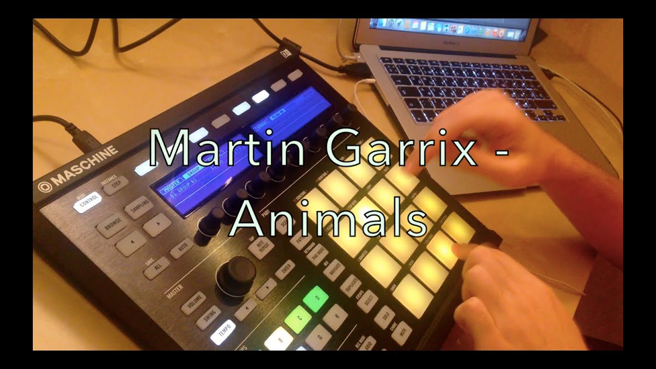 Martin Garrix - Animals (LIVE EDIT) - Malsi Music