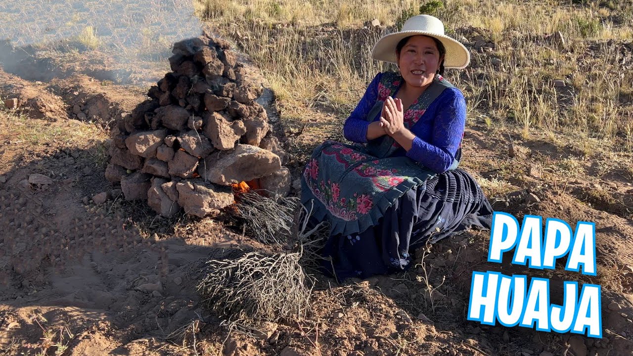 Huaja de papa  una costumbre ancestral | CHOLITA ISABEL