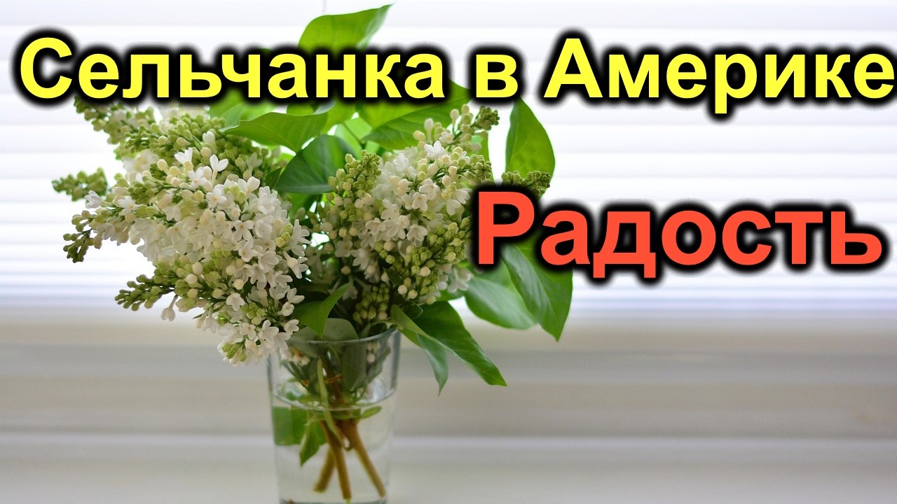 Сельчанка в Америке. Радость