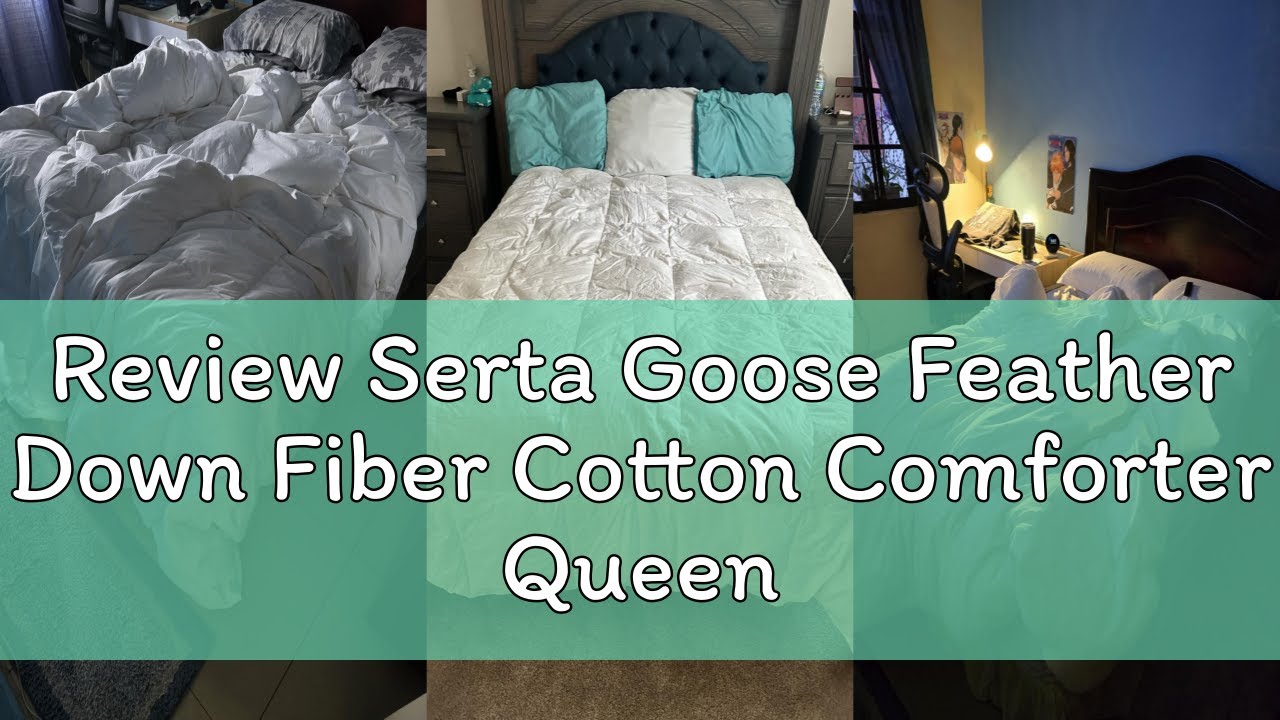Review Serta Goose Feather Down Fiber Cotton Comforter Queen Size - 100% Cotton Duvet Insert - Hotel