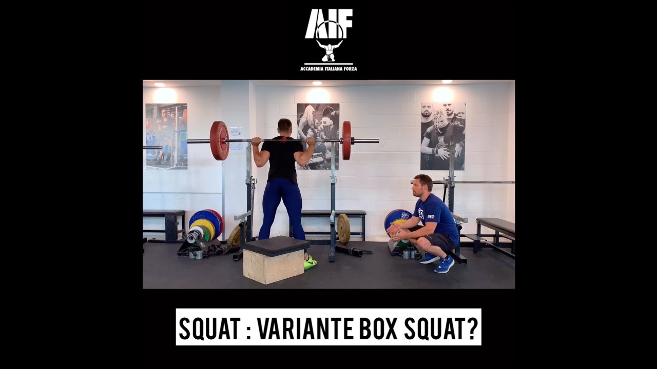SQUAT: VARIANTE BOX SQUAT?