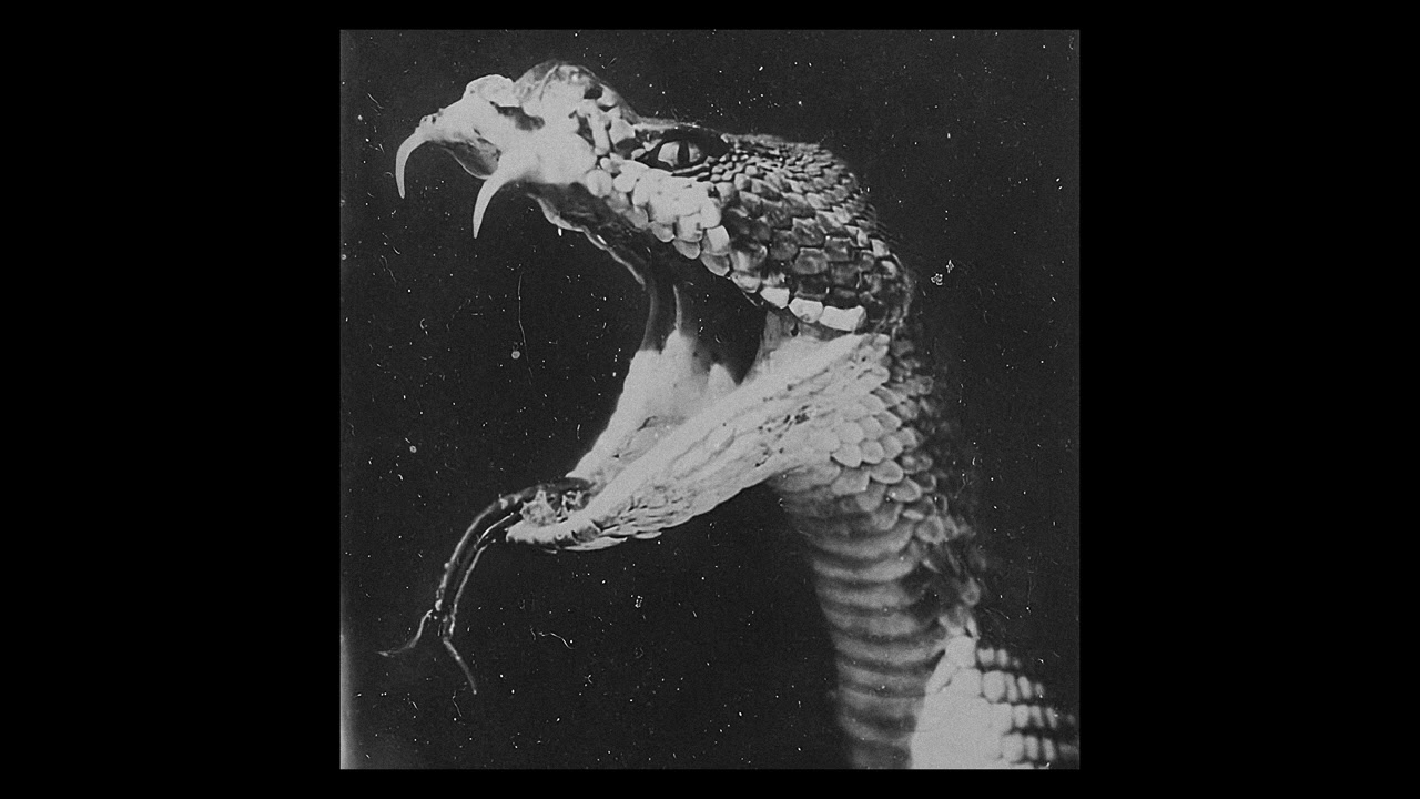 (FREE) BABY KEEM TYPE BEAT - DEADLY SIN (BEAT SWITCH)