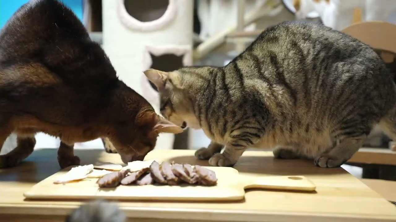 2025.12.25   クリスマスなので肉を食べる　Since it's Christmas, we're having meat.