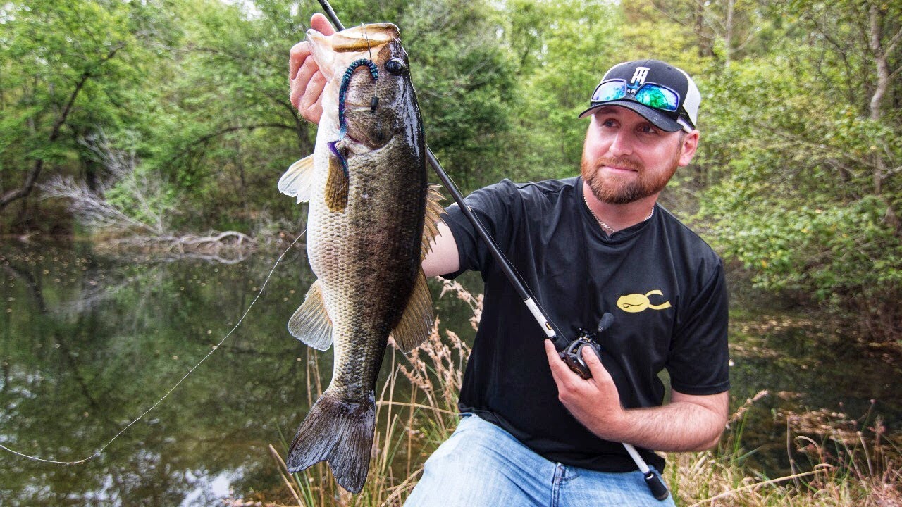 Bank Fishing Ponds for Bass