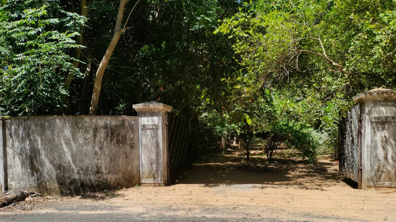 No :113 On Road Farm Land Property 4.6 Acres For Sale In ECR Edaikazhinadu | 9626716274