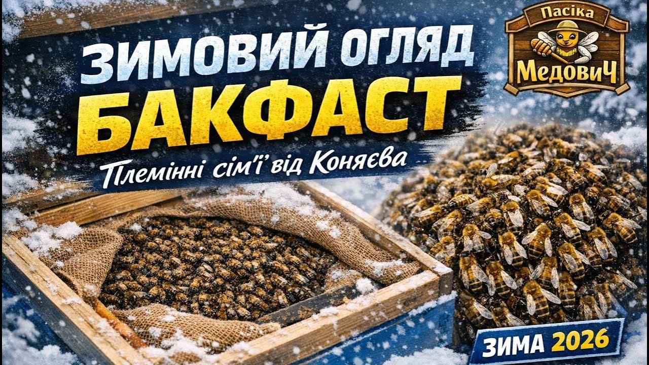 Огляд племінних сімей від Коняєва
