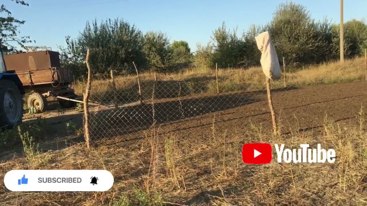 Сколько пастбище нужно для овец , обработка ягнят от чесотки