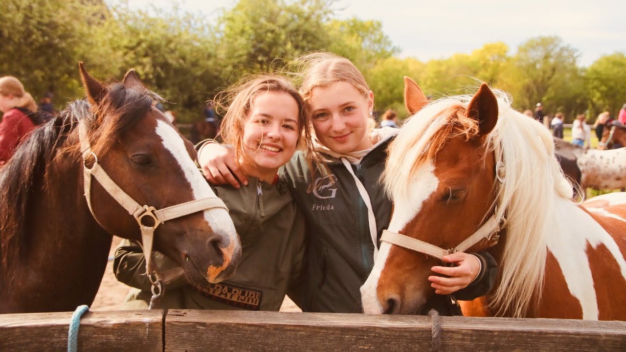 Ponyhof Fischerhütte Mai 2019💚💚💚