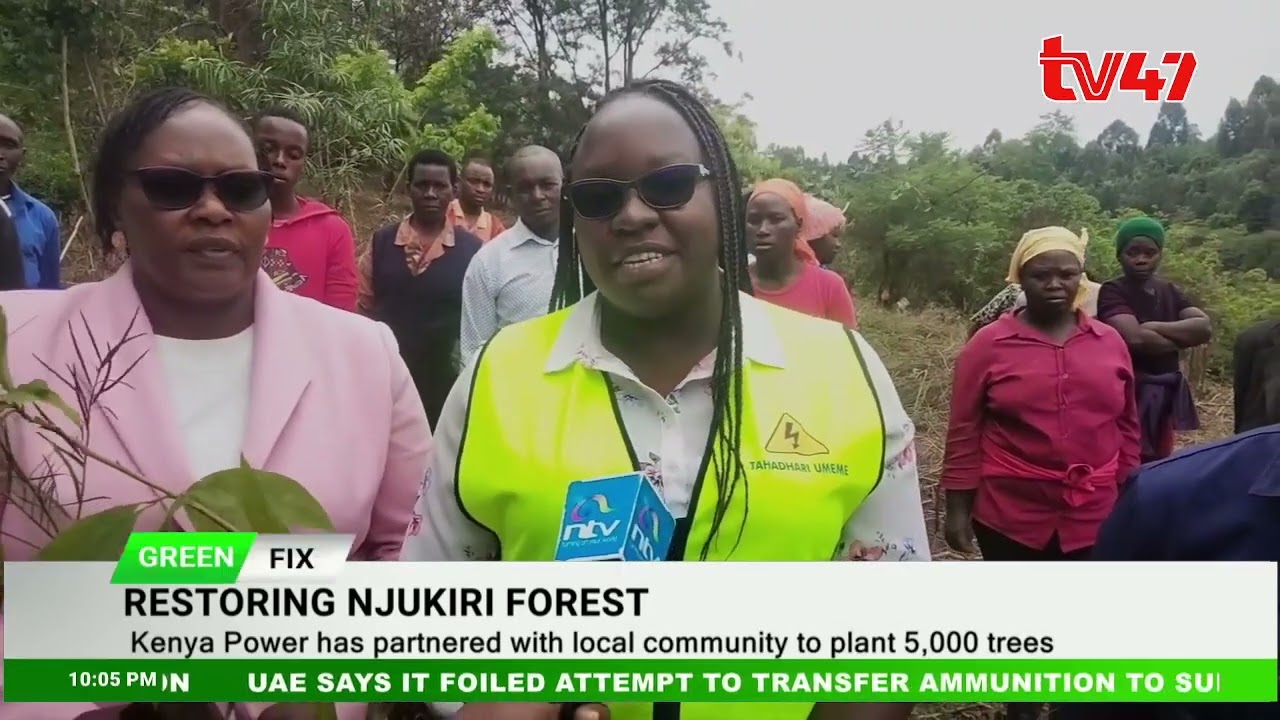 Communities join forces to restore Njukiri Forest in Embu