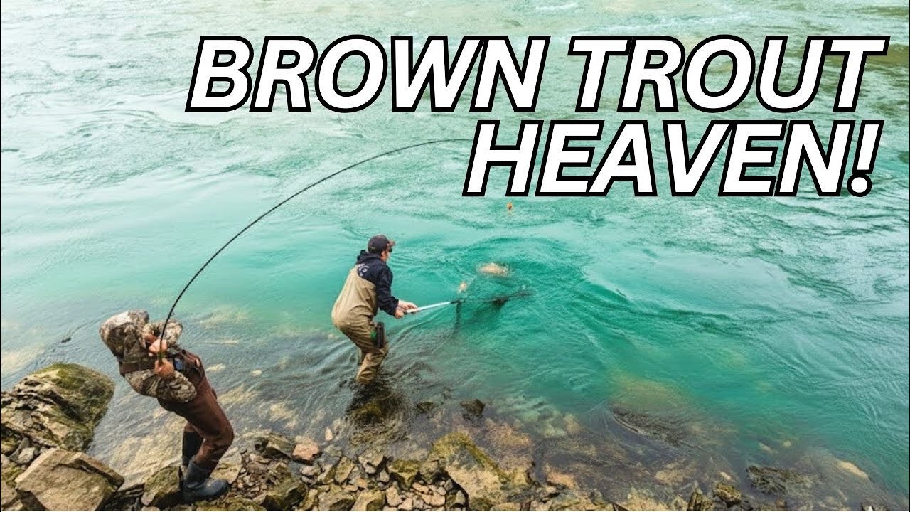 BROWN Trout and BIG Water! Lower Niagara River Trout Fishing.