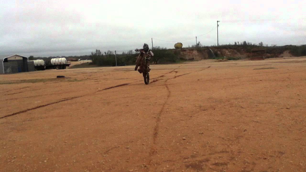 caballo- felix lopez frijol