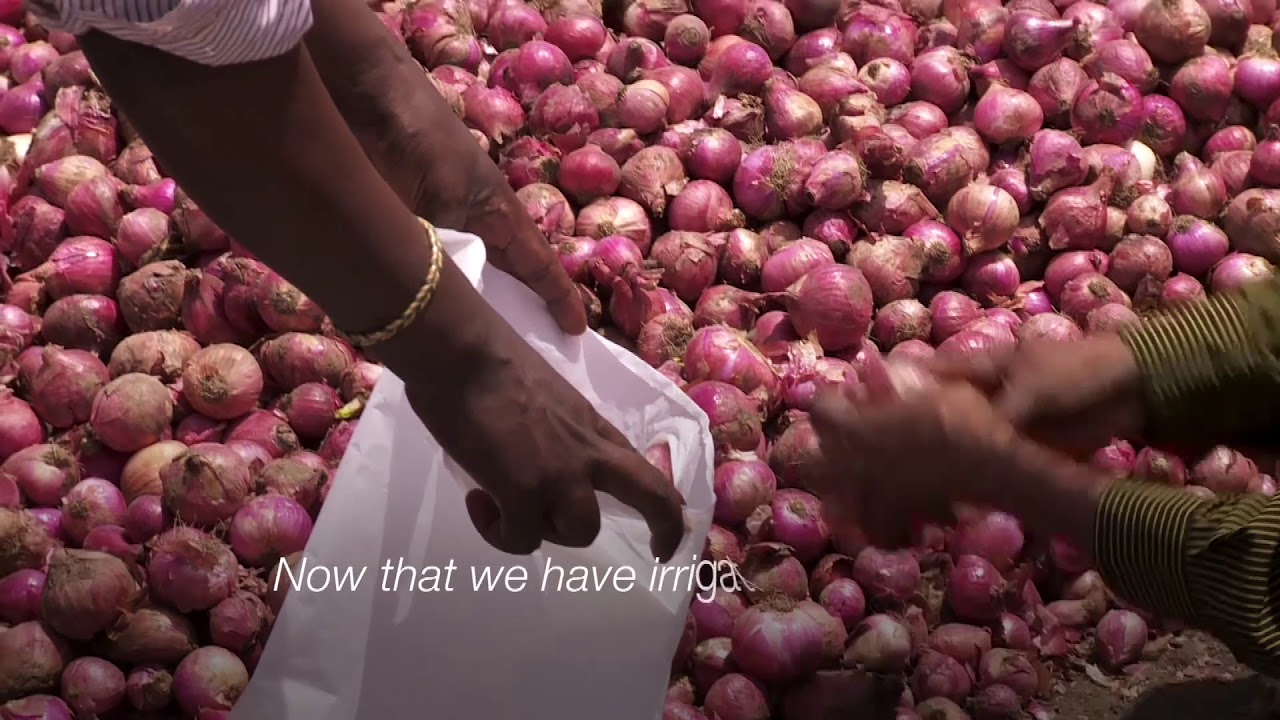 Ethiopia: IFAD invests in building resilience