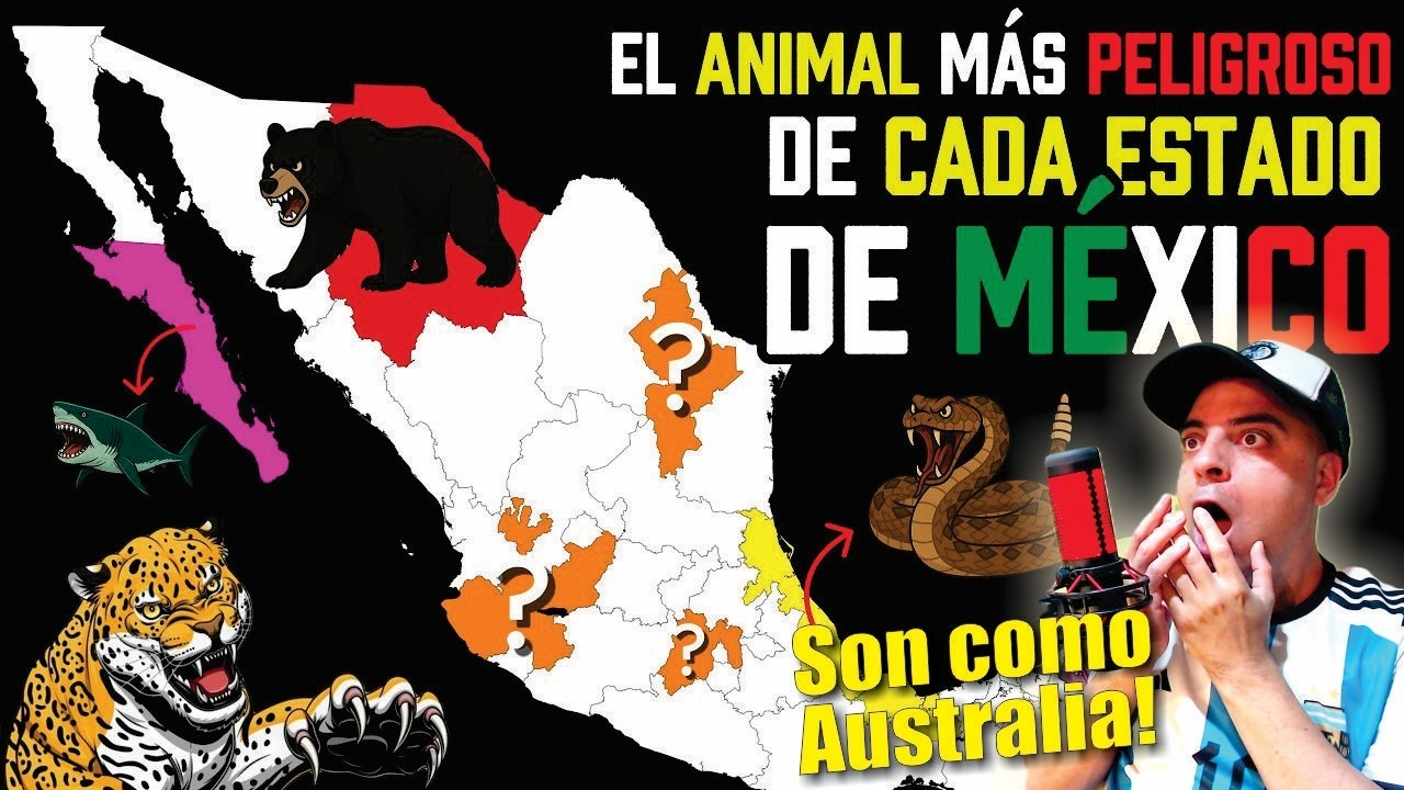 JUANITO REACCIONA a Los ANIMALES Más LETALES de cada estado de MÉXICO ⚠️🇲🇽 😱