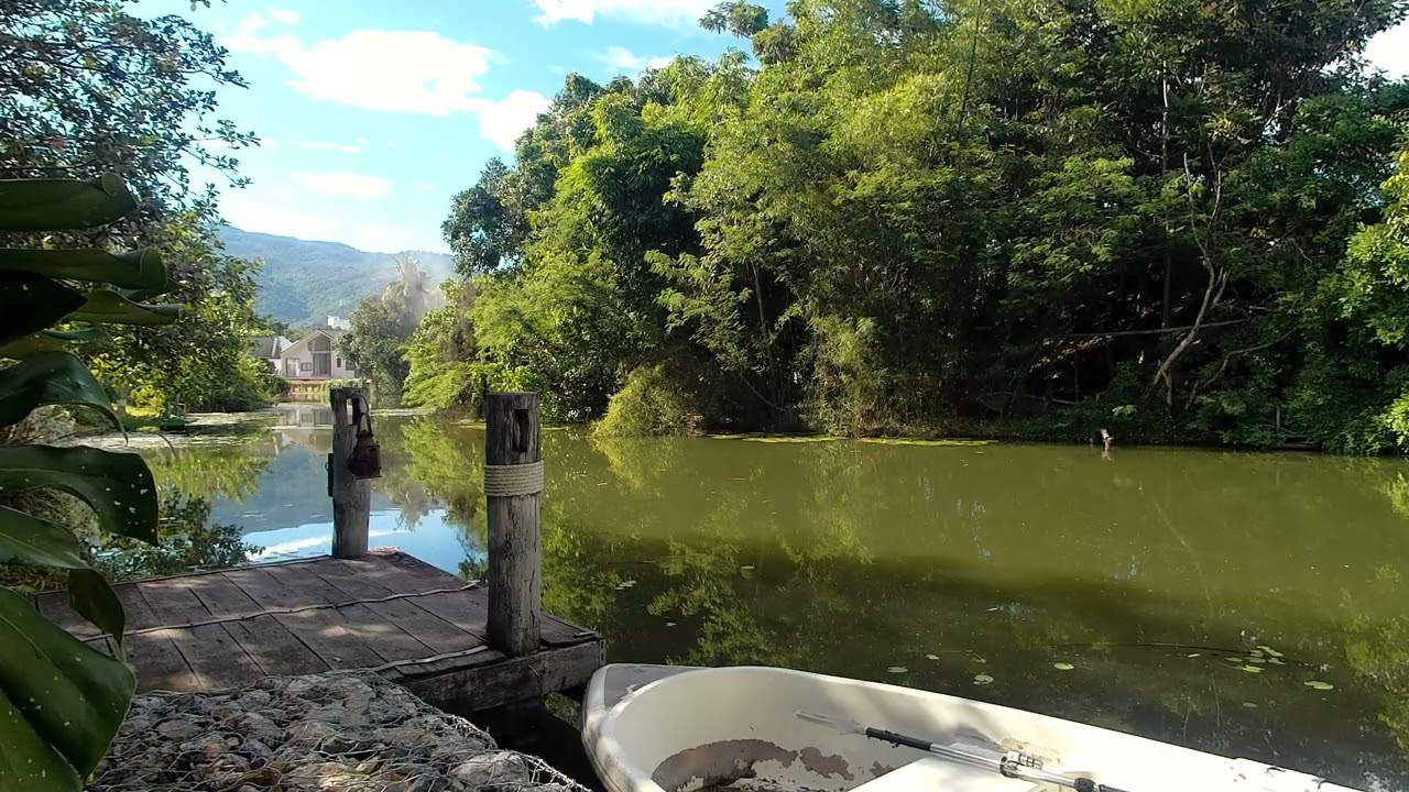 2025/08/14在清邁的AsamaCoffee發呆〖4K〗Daydreaming at AsamaCoffee in Chiang Mai
