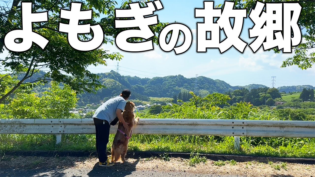【愛知・静岡】愛犬の故郷に里帰りしたら切なくなっちゃった・・・【車中泊】