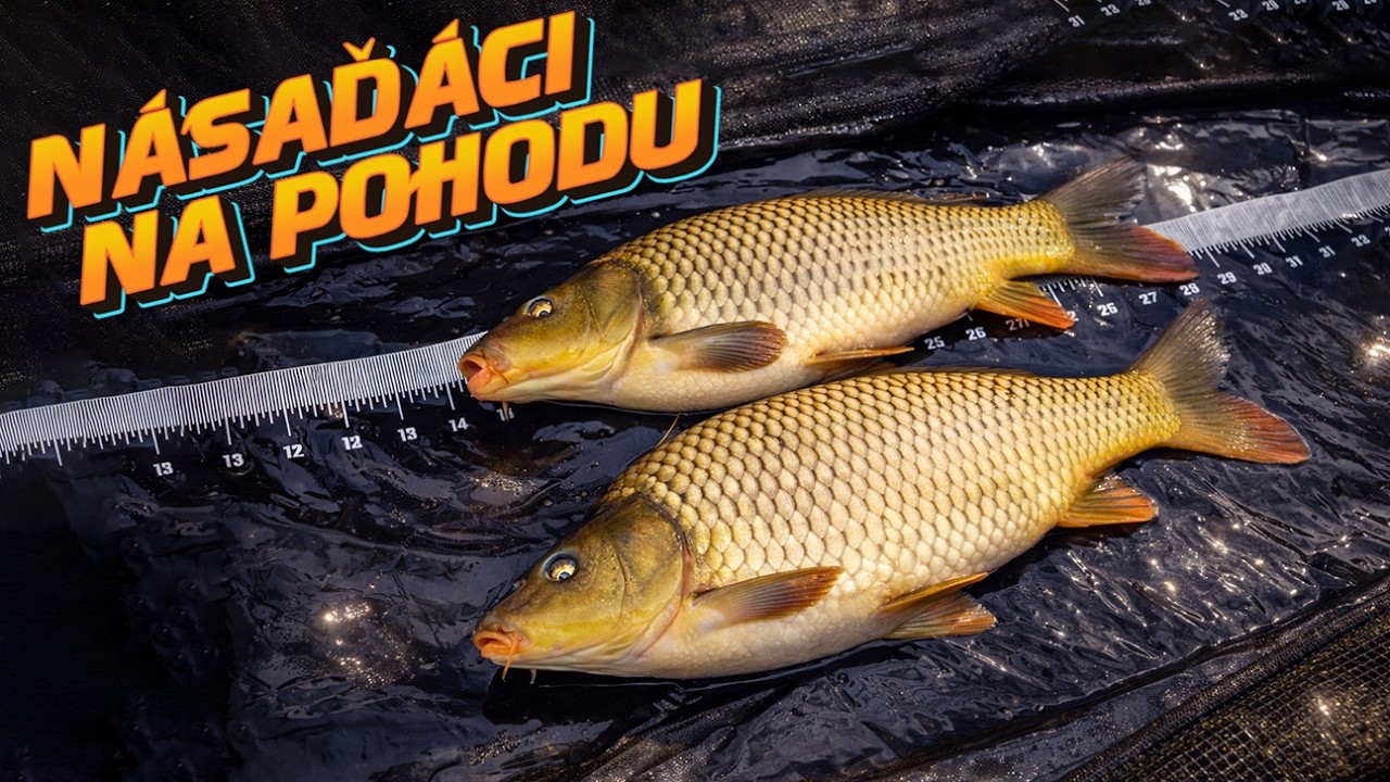 Jarní lov kaprů na stojaté vodě