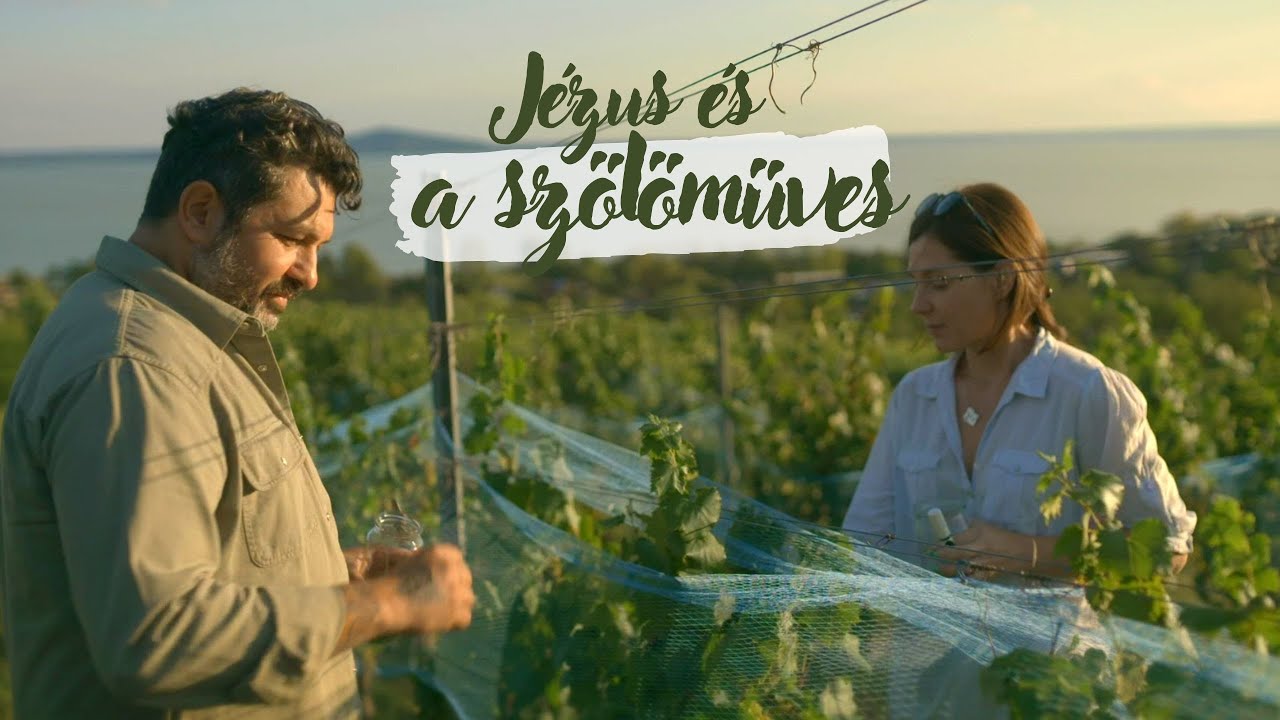 JÉZUS ÉS a szőlőműves