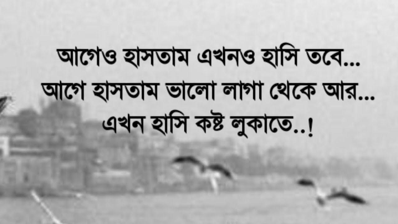 আবারও চলে আসলাম।।