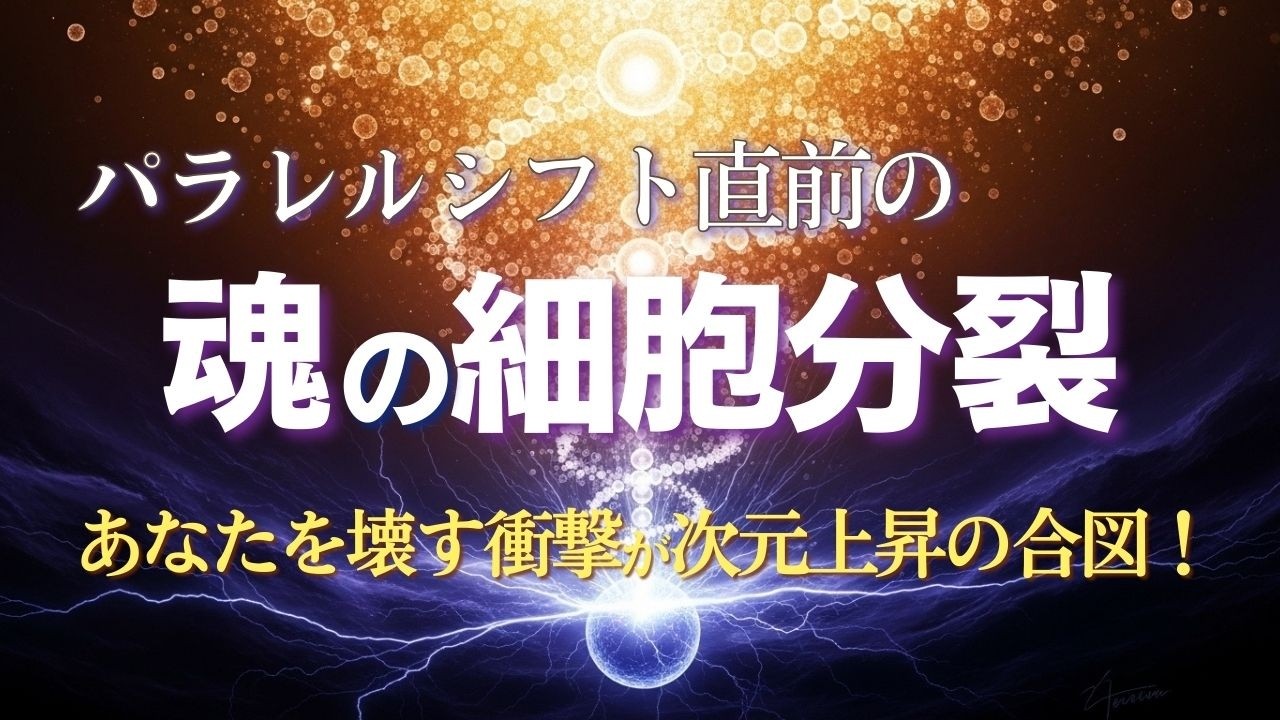【保存版】魂の細胞分裂？ パラレルシフト前 失敗という概念が消える