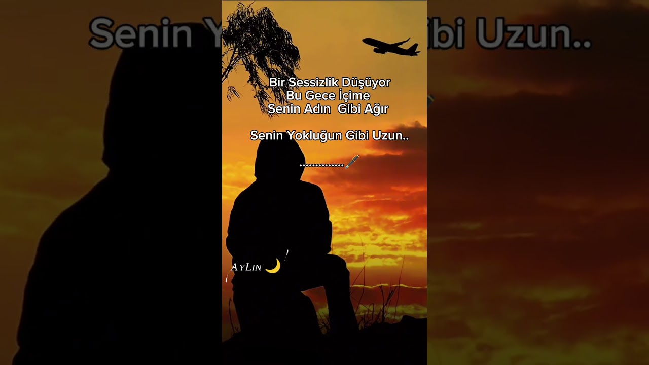 🫴🌺Bir Sensizlik Düşüyor Bu Gece İçime.....Şiir Elif Ümit Çetin 🙏🥀