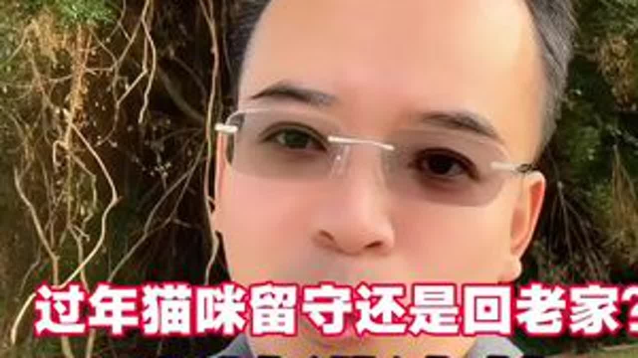 过年时，猫咪留守还是回老家？一个视频给你讲清楚！#过年回老家 #养猫经验分享 #养猫指南#猫咪的迷惑行为#喵哥爱养猫