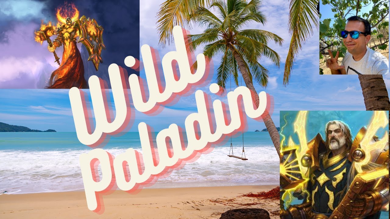 Only Child Paladin Deck Episode 19 | Wild Hearthstone | 100% Paladin cards