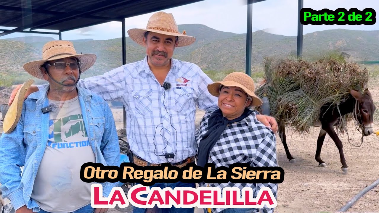 VIVEN FELICES TRABAJANDO JUNTOS, los cerros son su hogar / RAMOS ARIZPE Coahuila