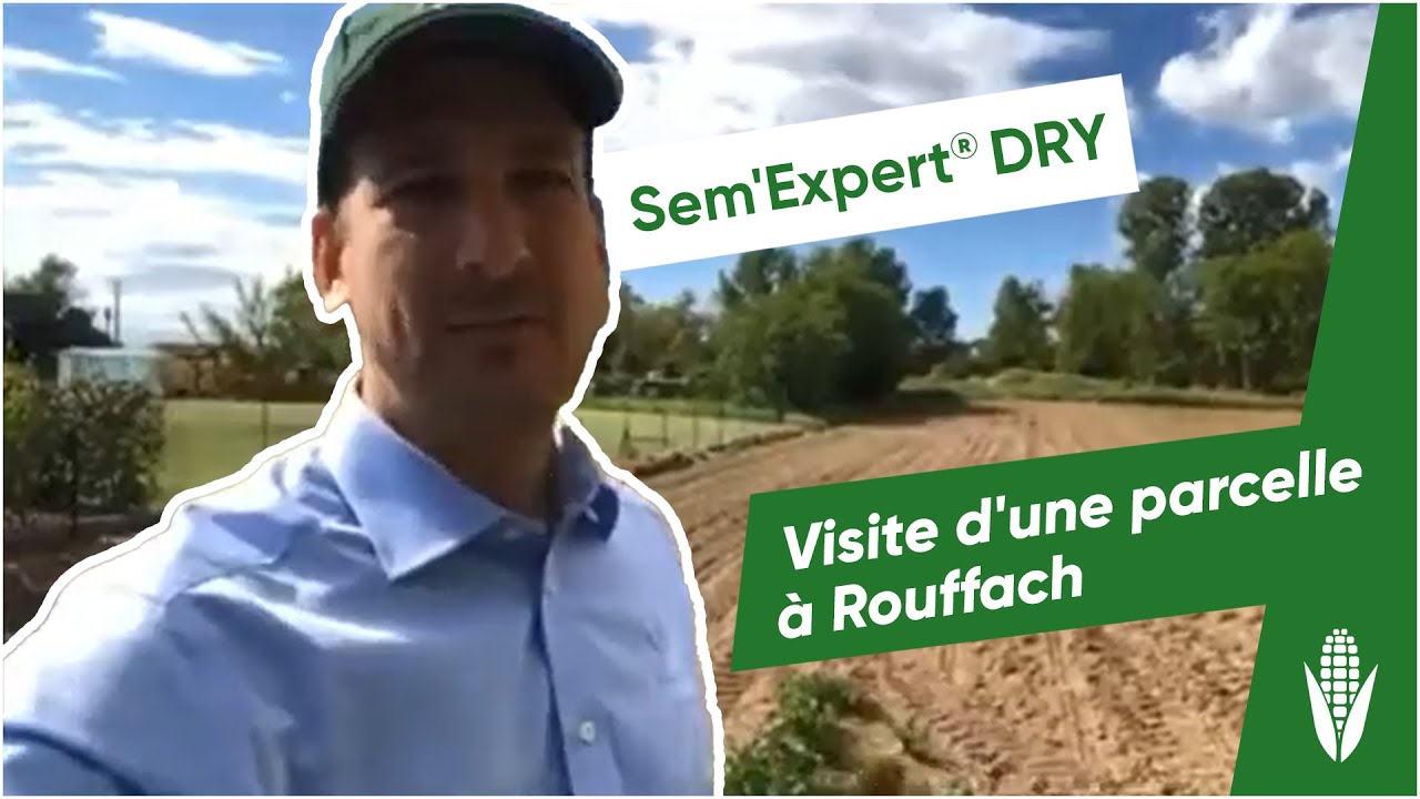 Sem'Expert Dry : visite d'une parcelle &agrave; Rouffach