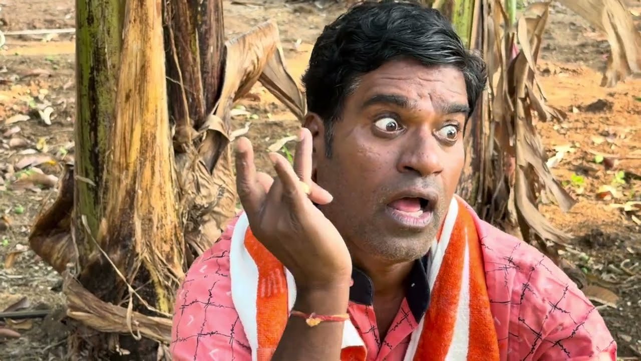 Grass with a pesticide | BITHIRISATHI LATEST | AGRICULTURE | #bithirisathi