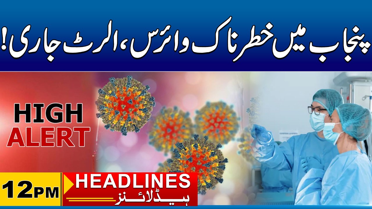 Punjab on High Alert - Dangerous Virus Spreading Fast | 12pm News Headlines | 24 Mar 2026 | City41